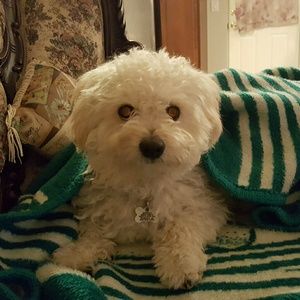 Meet your Posher, Bianca